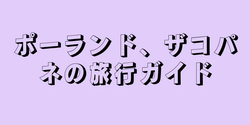 ポーランド、ザコパネの旅行ガイド