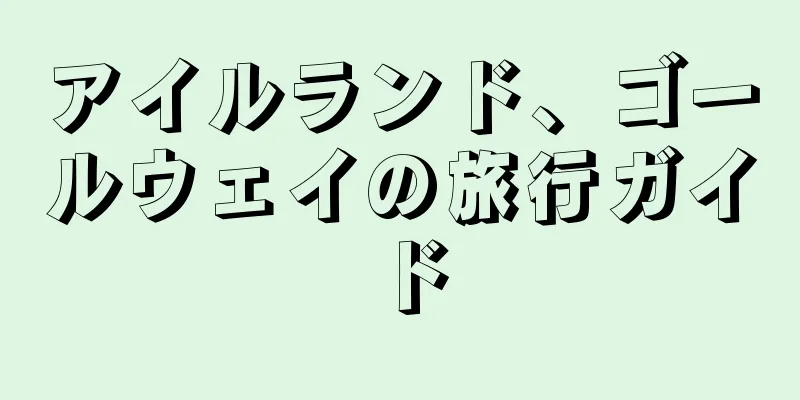 アイルランド、ゴールウェイの旅行ガイド