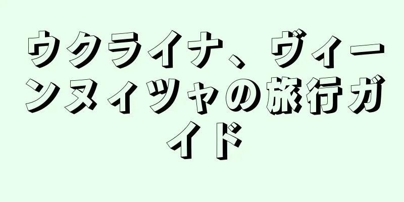 ウクライナ、ヴィーンヌィツャの旅行ガイド