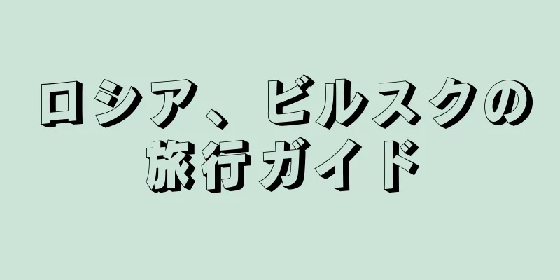 ロシア、ビルスクの旅行ガイド