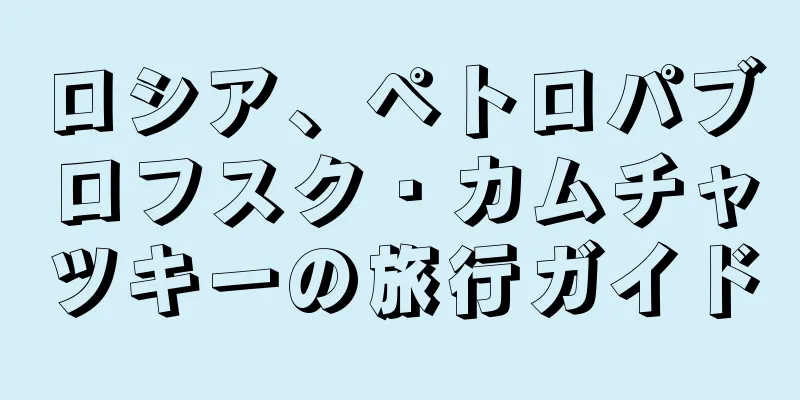 ロシア、ペトロパブロフスク・カムチャツキーの旅行ガイド