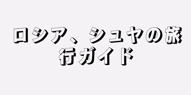 ロシア、シュヤの旅行ガイド
