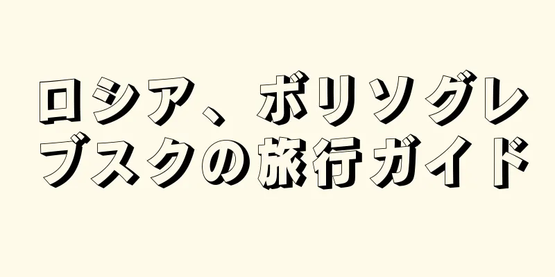 ロシア、ボリソグレブスクの旅行ガイド