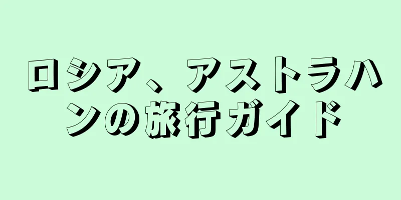 ロシア、アストラハンの旅行ガイド