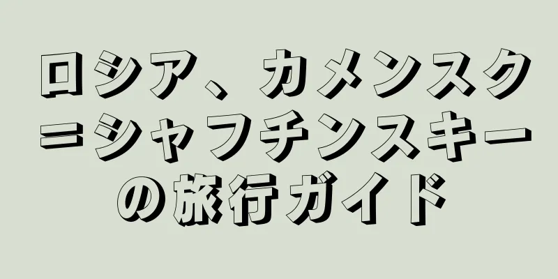 ロシア、カメンスク＝シャフチンスキーの旅行ガイド