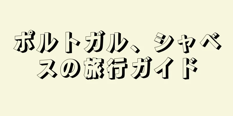 ポルトガル、シャベスの旅行ガイド