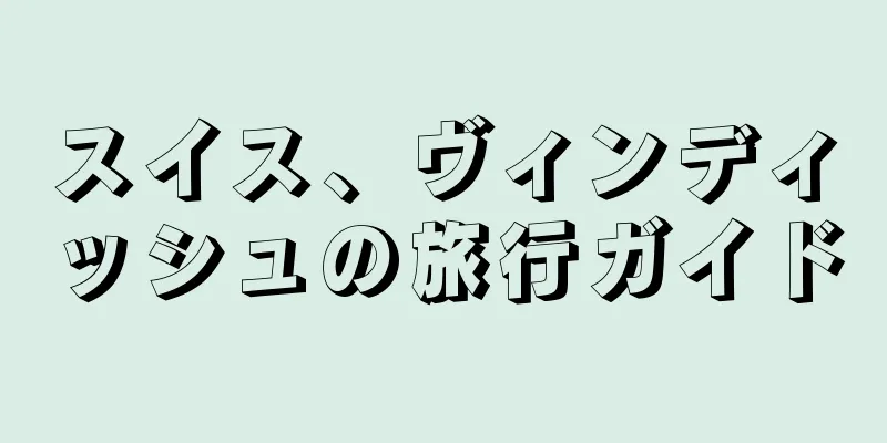 スイス、ヴィンディッシュの旅行ガイド