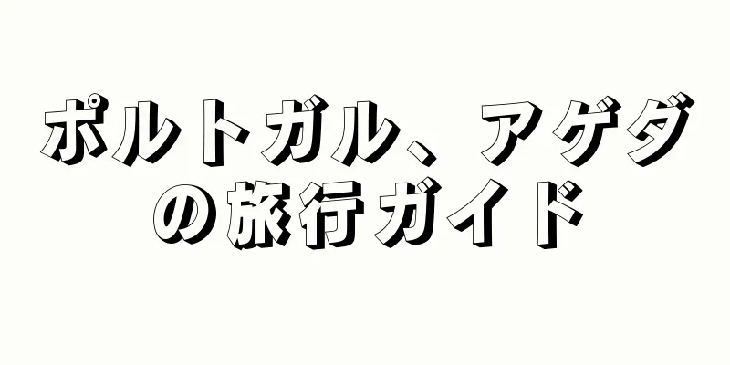 ポルトガル、アゲダの旅行ガイド