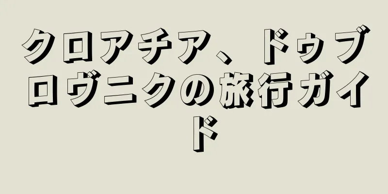クロアチア、ドゥブロヴニクの旅行ガイド