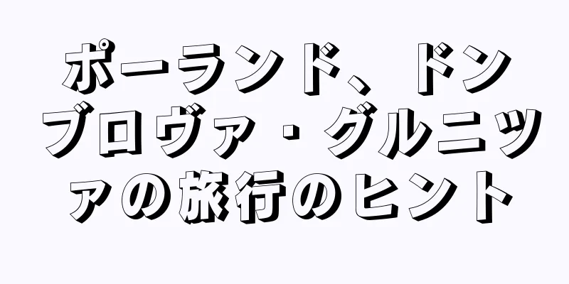 ポーランド、ドンブロヴァ・グルニツァの旅行のヒント