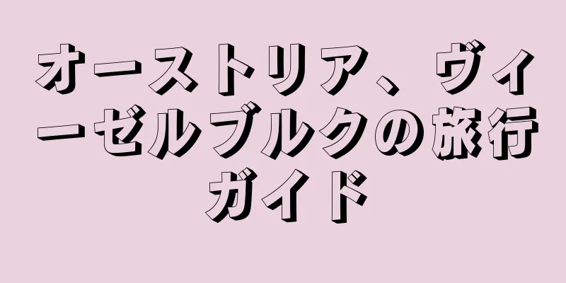 オーストリア、ヴィーゼルブルクの旅行ガイド