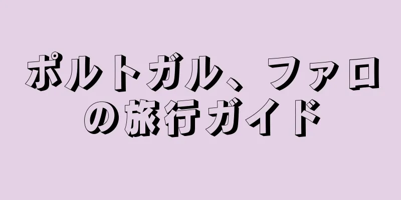 ポルトガル、ファロの旅行ガイド