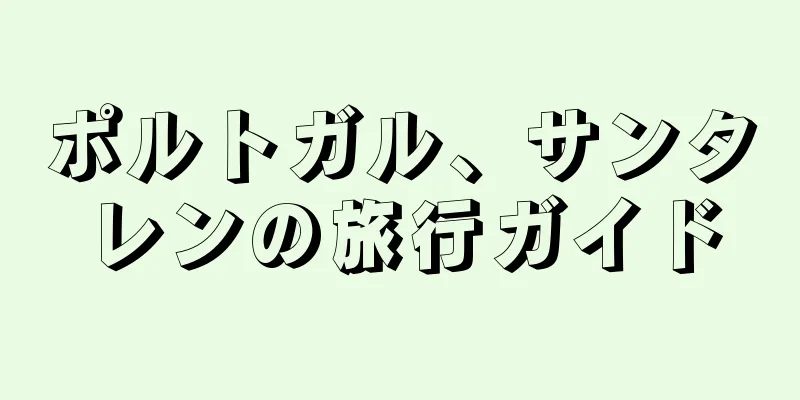 ポルトガル、サンタレンの旅行ガイド