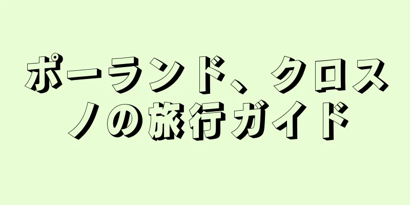 ポーランド、クロスノの旅行ガイド