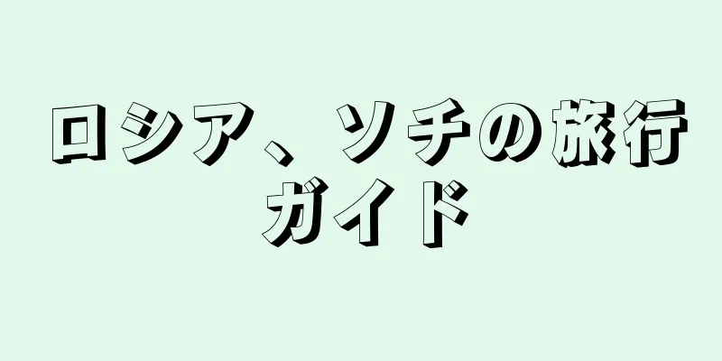 ロシア、ソチの旅行ガイド