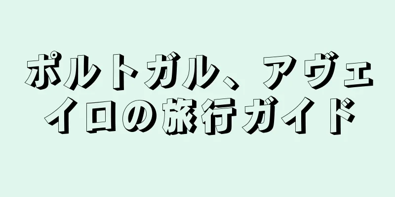 ポルトガル、アヴェイロの旅行ガイド