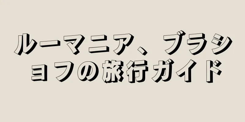 ルーマニア、ブラショフの旅行ガイド