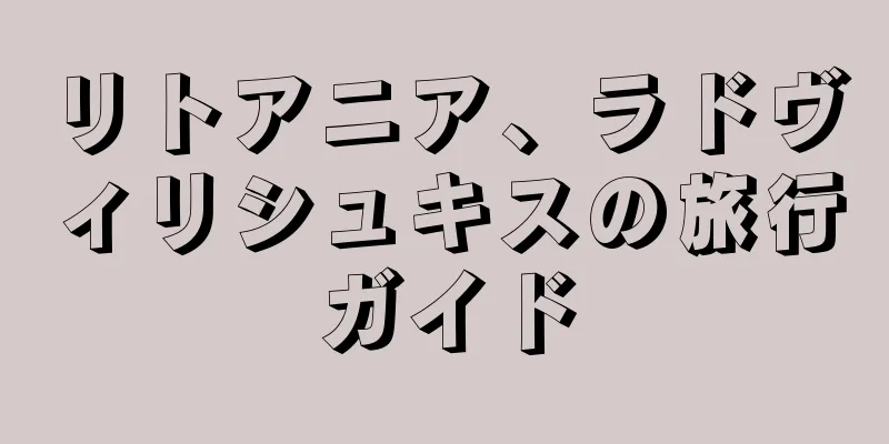 リトアニア、ラドヴィリシュキスの旅行ガイド