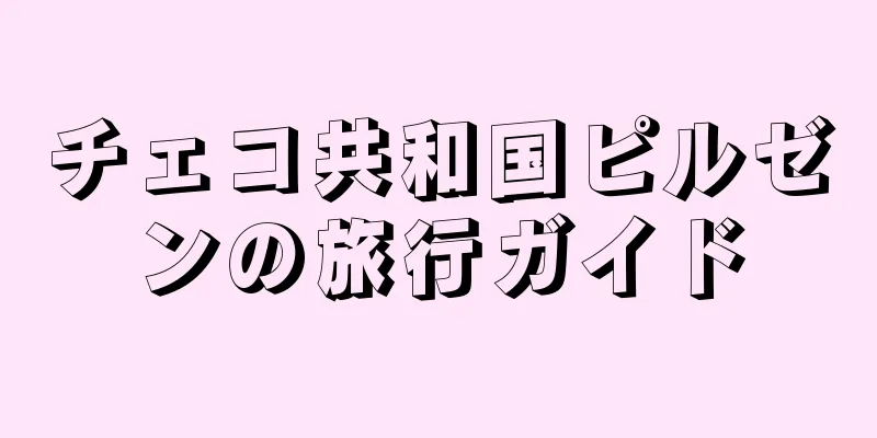 チェコ共和国ピルゼンの旅行ガイド