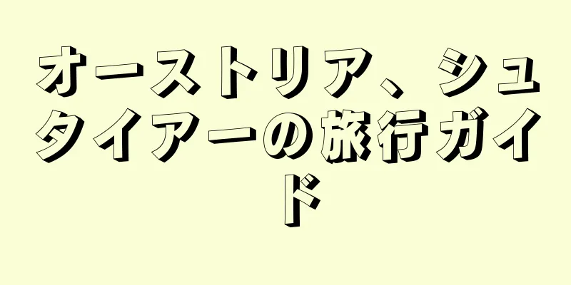 オーストリア、シュタイアーの旅行ガイド
