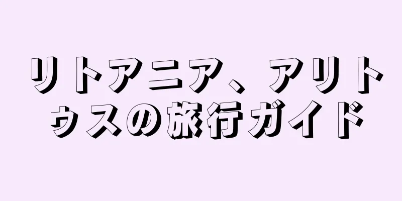 リトアニア、アリトゥスの旅行ガイド