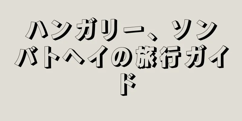 ハンガリー、ソンバトヘイの旅行ガイド