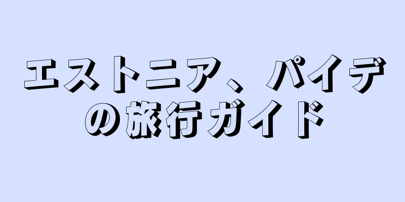 エストニア、パイデの旅行ガイド