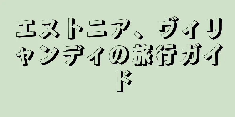 エストニア、ヴィリャンディの旅行ガイド
