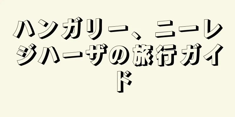 ハンガリー、ニーレジハーザの旅行ガイド