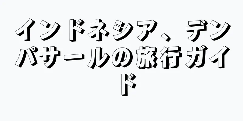 インドネシア、デンパサールの旅行ガイド