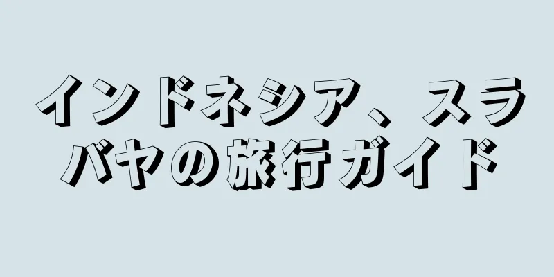 インドネシア、スラバヤの旅行ガイド