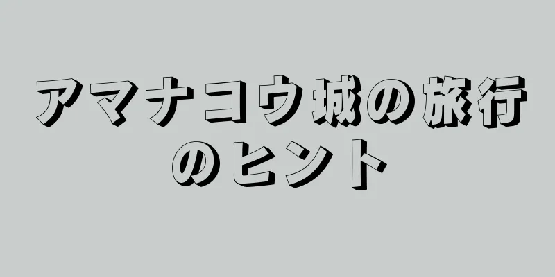 アマナコウ城の旅行のヒント