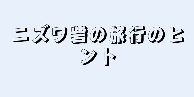 ニズワ砦の旅行のヒント
