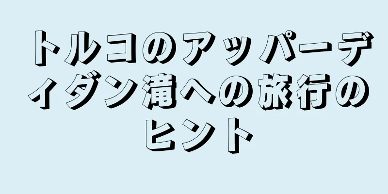 トルコのアッパーディダン滝への旅行のヒント