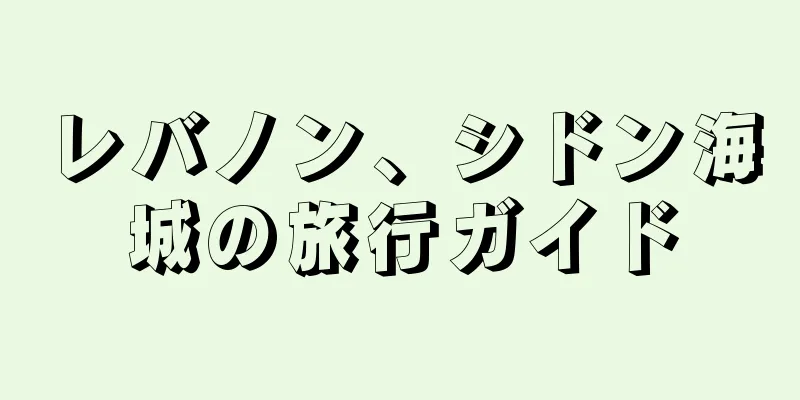 レバノン、シドン海城の旅行ガイド