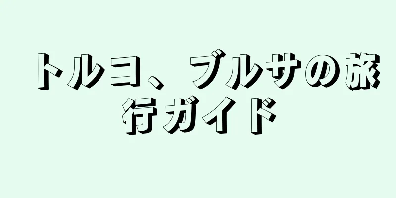 トルコ、ブルサの旅行ガイド