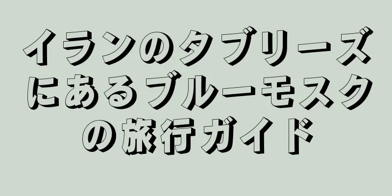 イランのタブリーズにあるブルーモスクの旅行ガイド