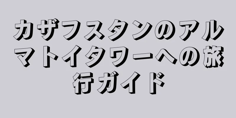 カザフスタンのアルマトイタワーへの旅行ガイド