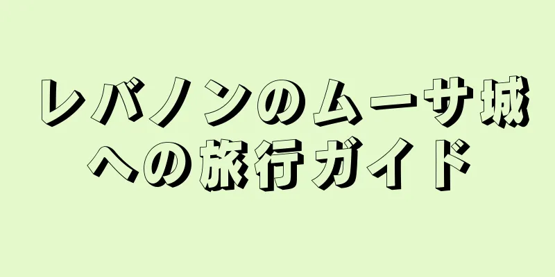 レバノンのムーサ城への旅行ガイド