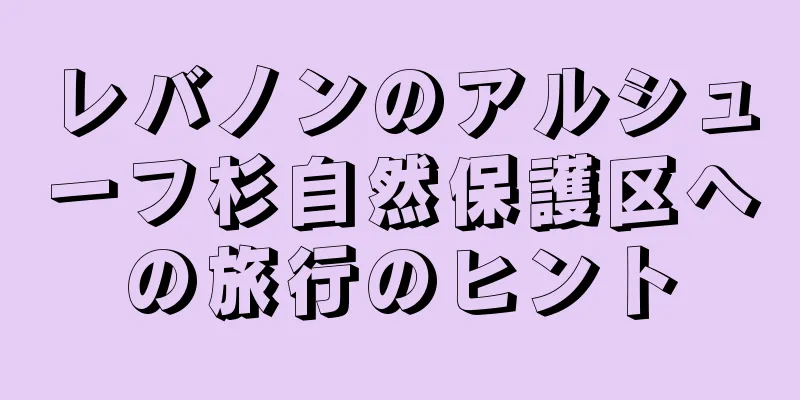 レバノンのアルシューフ杉自然保護区への旅行のヒント