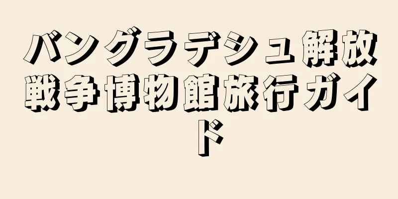 バングラデシュ解放戦争博物館旅行ガイド