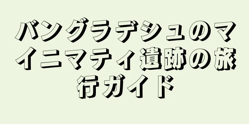 バングラデシュのマイニマティ遺跡の旅行ガイド