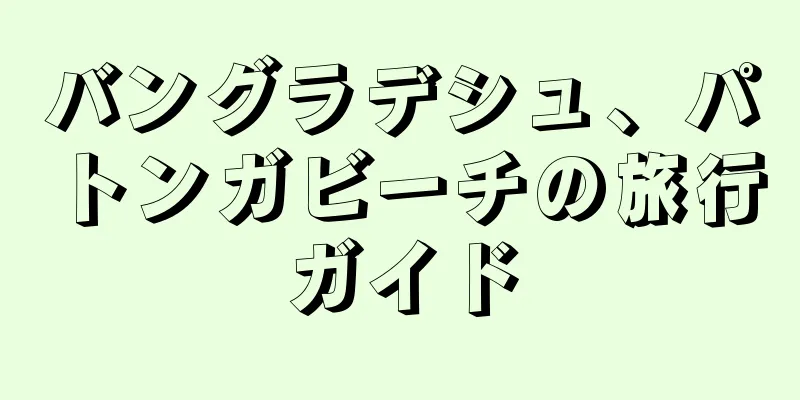 バングラデシュ、パトンガビーチの旅行ガイド