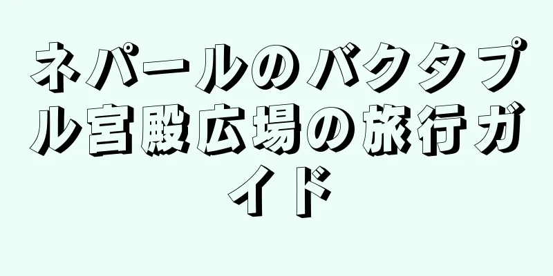 ネパールのバクタプル宮殿広場の旅行ガイド