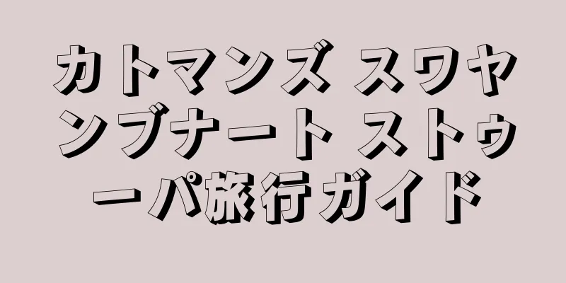 カトマンズ スワヤンブナート ストゥーパ旅行ガイド