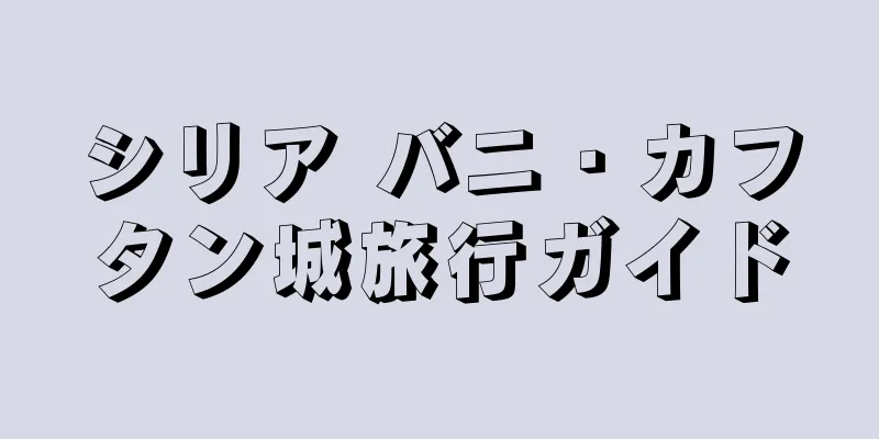 シリア バニ・カフタン城旅行ガイド