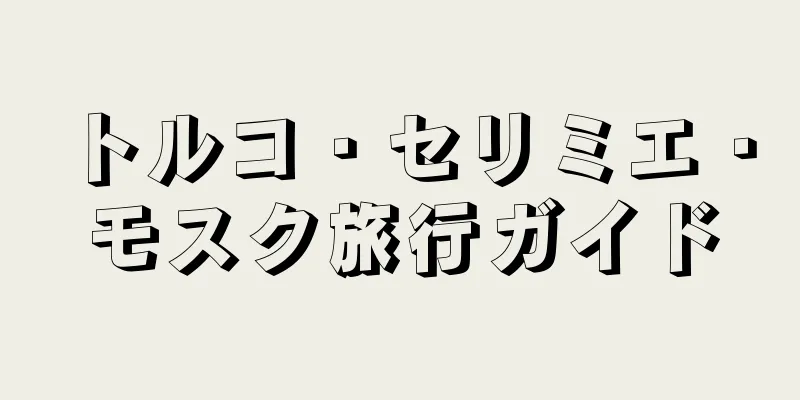 トルコ・セリミエ・モスク旅行ガイド