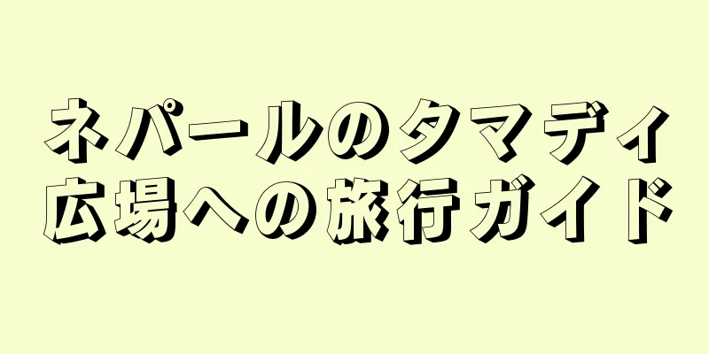 ネパールのタマディ広場への旅行ガイド