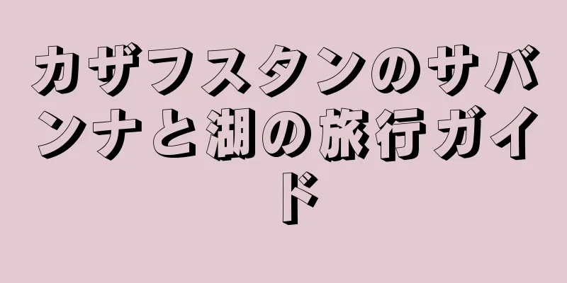 カザフスタンのサバンナと湖の旅行ガイド