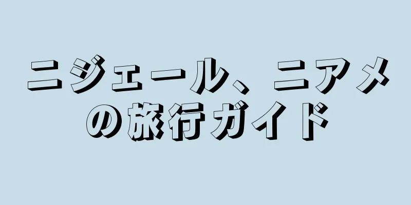 ニジェール、ニアメの旅行ガイド